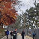 대구광역시 남구 월배산-성불산-앞산-왕굴 코스 정기산행 앨범/2024.12.5.목 이미지