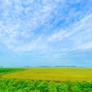 온마을축제) 허브 스머지스틱 만들기(11:30~12:00) | 충남 당진여행, 푸레기 치유마을에서 힐링캠프