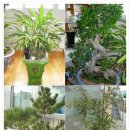 행복을 주는 집 이미지