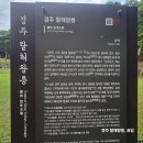 탈해왕릉 티스토리