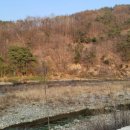 마령 큰시내들 캠핑장 이미지