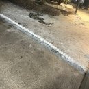 반디세무회계