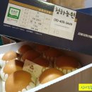 영농조합법인 청하농원