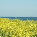 평택호관광단지 이미지