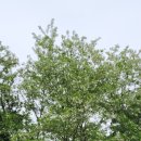 수밀농장 이미지