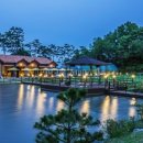 숲을 그리다 이미지