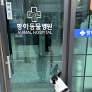 황하동물병원