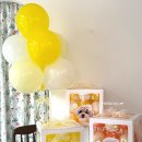 베베꽁 유치원호텔 이미지