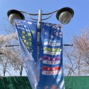 동산숲협동조합 | [부천 봄꽃명소] 원미산 진달래동산 벚꽃 산책 후기 (축제·포토존 솔직후기)