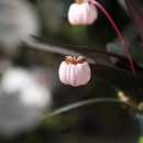 이원농장 이미지