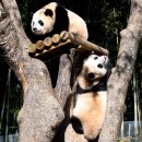 (주)알라딘웍스 | 10/ 쪼들려도 공연 보는 20대