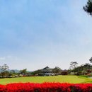 여주-0186 이미지