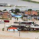 안성 월동천 이미지