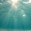 지극정성시니어케어 이미지