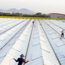 (주)에코팜 이미지