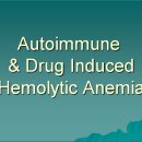 Autoimmune &amp; Drug Induced Hemolytic Anemia 이미지