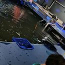 포인트실내낚시카페낚시터 이미지