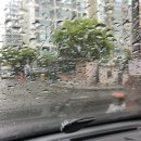 모닝글로리송천 | 두서 없는 일상