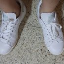 270-5047 | 아디다스 스탠스미스 그린,민트 BB5047