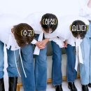 쏠레 이미지