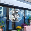 베이비댕 이미지