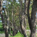 펜캠2495체험학교 티스토리