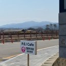 해경 옆 물치항 화장실 | [속초 신상 카페/ 물치항 카페/바다뷰카페]P.E.I coffee