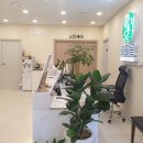 하리옴(쑥이사랑&에스테틱) 네이버블로그