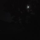 송남주유소 이미지