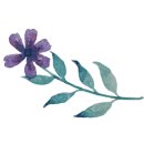 눈을맞추다&렌즈미 이미지