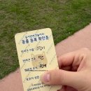 달서반려견놀이터 | 대구 달서반려견놀이터 이용요금부터 시설까지 직접 다녀온 후기
