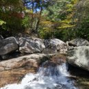 문경목장 이미지