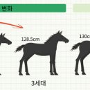 국립축산과학원 난지축산연구소 이미지