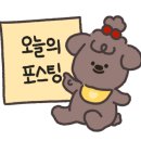 백합어린이집 이미지