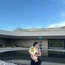 성문 | 원주 성문안 피오레토 메뉴 예약 방문 후기