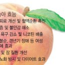 금일농장 이미지