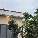 메종 761 이미지