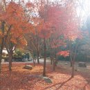 의재미술관 | [미술관 리뷰] 광주 무등산 근처 한국화 미술관 &#39;의재미술관&#39; 방문 후기(+광주 여행, 증심사)