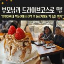 광주 근교 애완견이랑 아이랑 전남 가족여행 가기 좋은곳 화순카페 만연산 근처 포엠