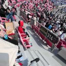 수원-0311 이미지