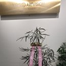 바른메디칼 이미지