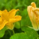 푸른하늘공인중개사사무소 이미지