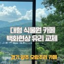 원바이원 - 강동구 고덕로 399 | [양주 식물원카페] 경기도 대형 카페 유리 백화현상 교체 (3미터 페어유리시공 후기)