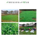옹동청결떡방앗간 이미지