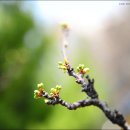 산본중앙공원 이미지