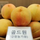 골드원 - 청주시 상당구 월평로184번길 150 | 골드원