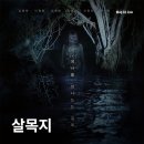 내비로드 | 영화 살목지(2026) 절대 살아서 나올 수 없는 곳 로드뷰 물귀신 괴담의 실체? 영화정보 및 후기
