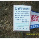 국일장 이미지