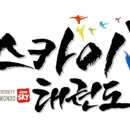 용인대스카이태권도 이미지