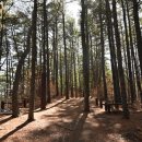 안남면행정복지센터 이미지